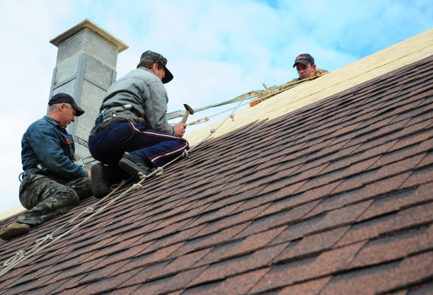 Best Residential Roofing Contractor  in Dupo, IL